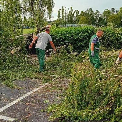 Prihvat granja, stabala i ostalog zelenila koje je srušeno i stradalo tijekom nevremena