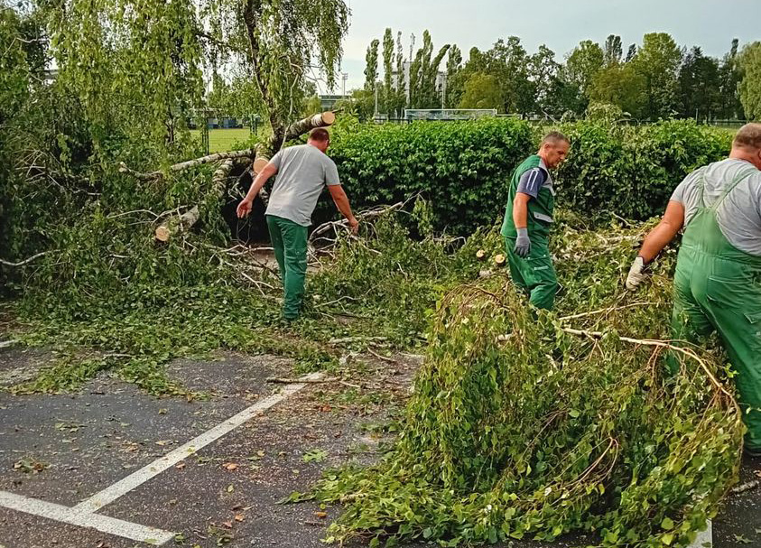 Prihvat granja, stabala i ostalog zelenila koje je srušeno i stradalo tijekom nevremena